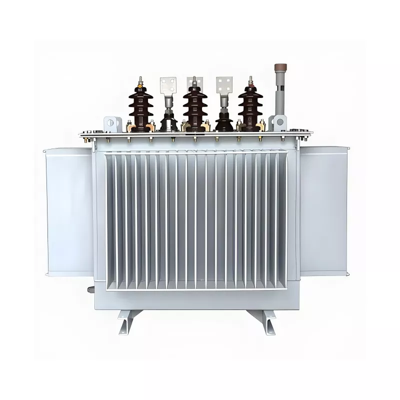 100KVA 20KV থ্রি ফেজ অয়েল ইমার্সড ট্রান্সফরমার